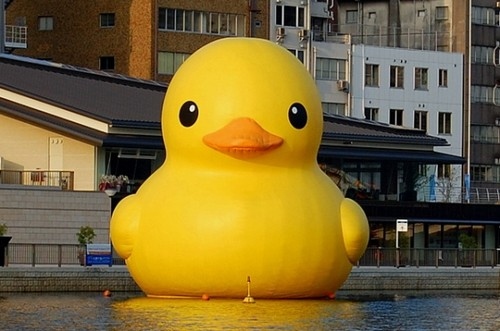 cute, duck and giant