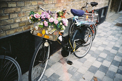 bicycle,  bike and  flower
