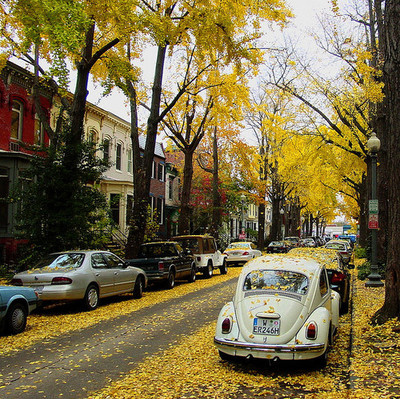 autumn, beautiful and car
