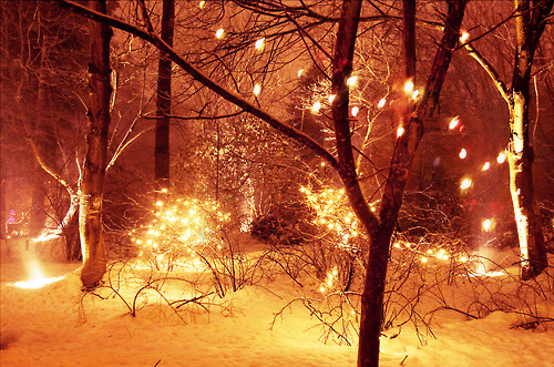 lights, photography and snow