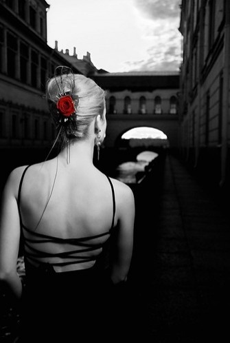 black and white, blonde and red rose