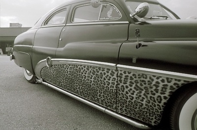animal print,  black and white and  car