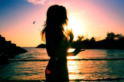 beach,  bird and  colorful