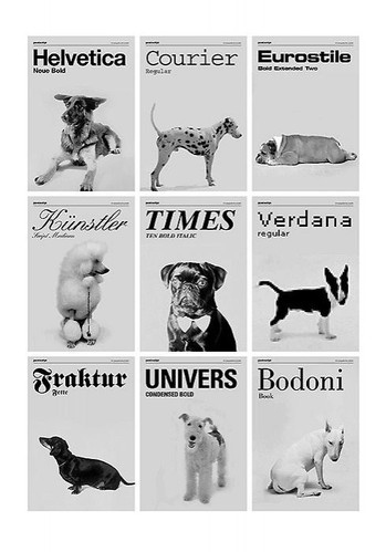 black and white, breed and design