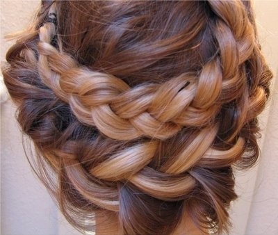 braids, girl and hair