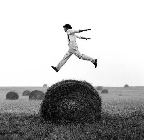 bale of hay, black and white and blanconegro