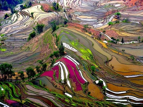 aerial, agriculture and china