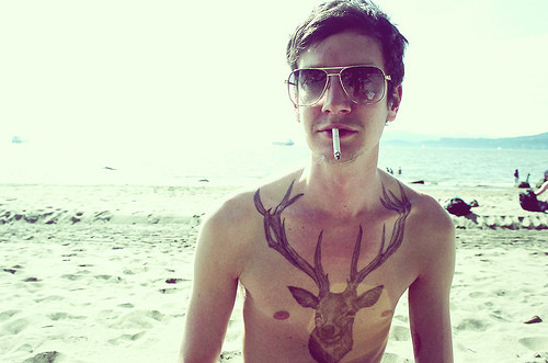 animal, beach and cigarette
