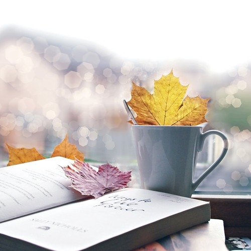 art, autumn, beautiful, blur, bokeh, book