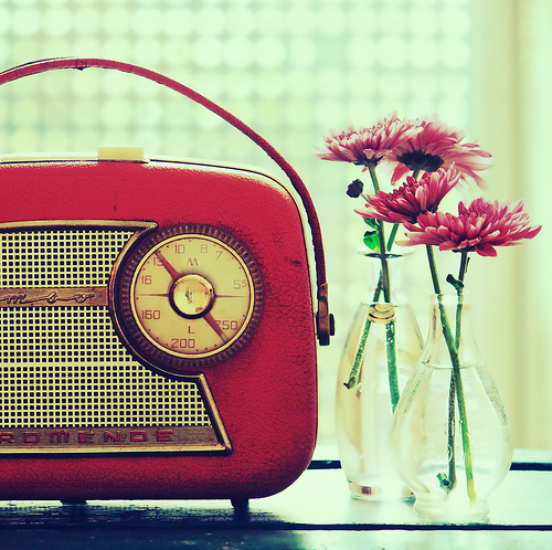 floral, flower and radio