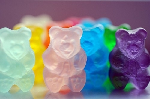 bears, color and colour