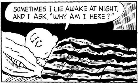 cartoon, charlie brown, comic, existence, life, lonely - image #33122 ...