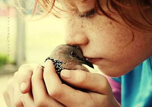 bird, care and child