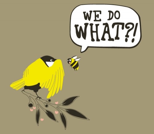 amusing, bees and birds