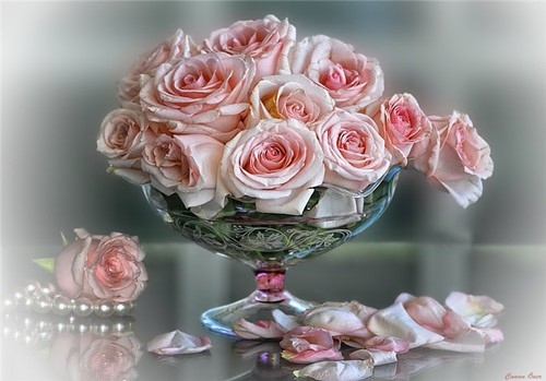 beautiful, flowers, like it sooooo much, pearls, pink, pink roses