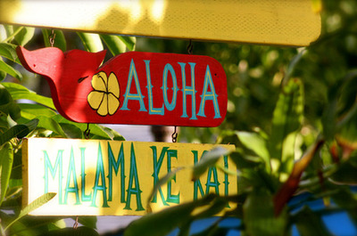 aloha, hawaii, hawaiian, hello, take care of the ocean