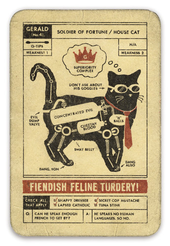 advertising, animals and black cat