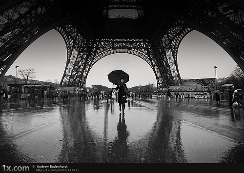 black and white, eiffel tower and france