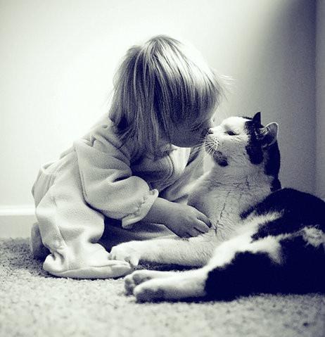 Image result for kids kissing cats