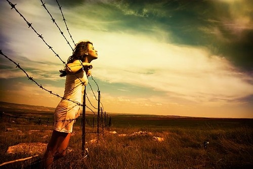 alone, barbed wire fence, beautiful, beauty, color, composition