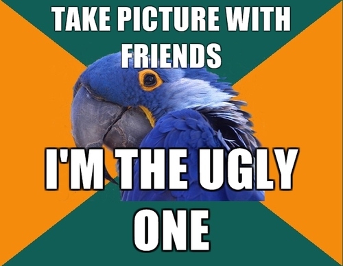 friends, funny and paranoid parrot