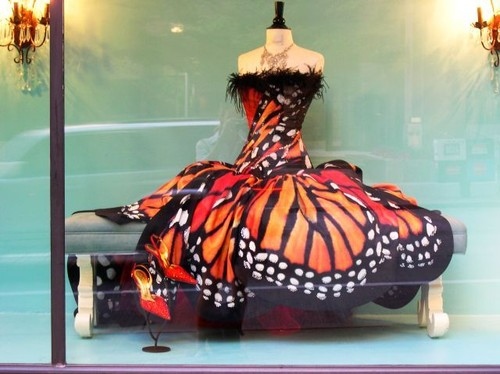 butterfly, butterfly dress and design