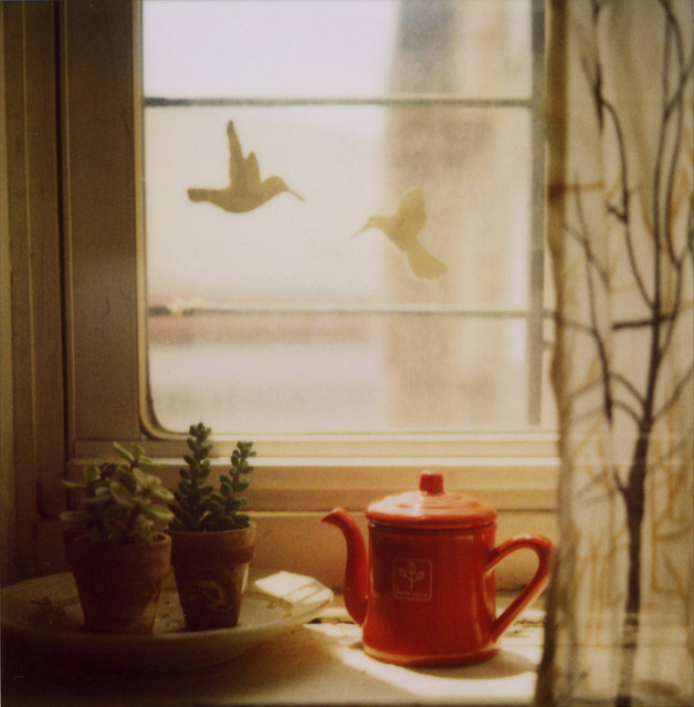 birds, tea and things