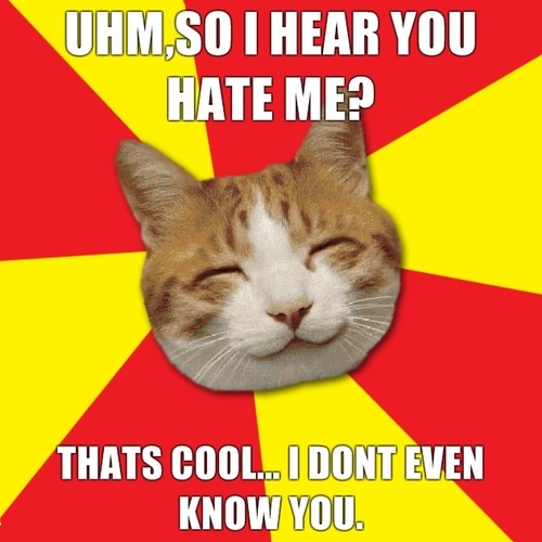 cat, funny and hate