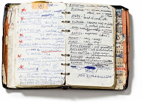 diary, dictionary and handwritten