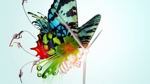 artistic,  artistic idea and  butterfly