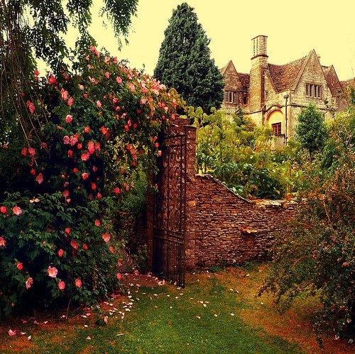 beautiful, cottage and flowers