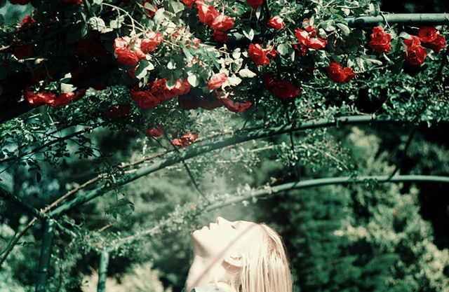 blonde, flowers and nature