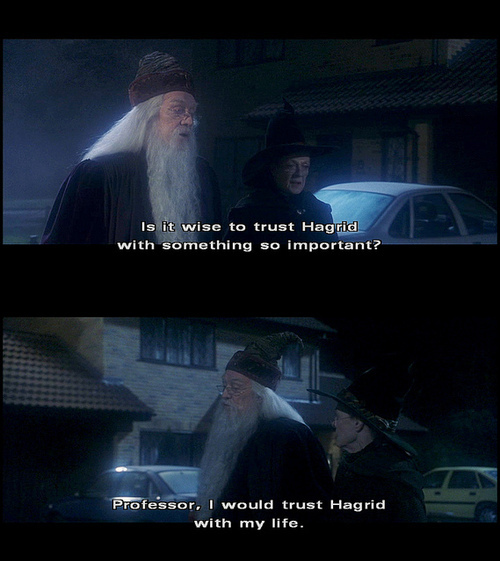 dumbledore, hagrid and harry potter
