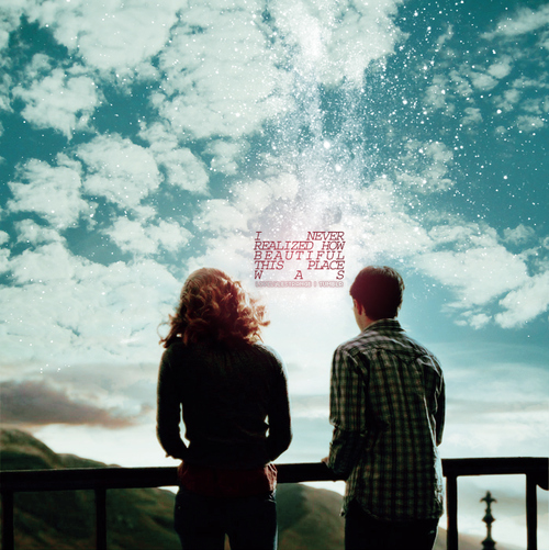 friendship, half blood prince and harry potter