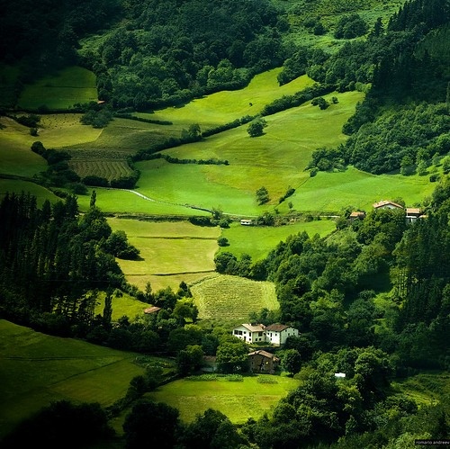 country, countryside, field, forest, green, landscape
