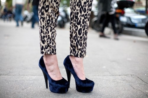 fashion, leopard and pants