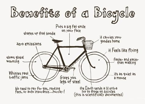 art, benefits and benefits of a bike
