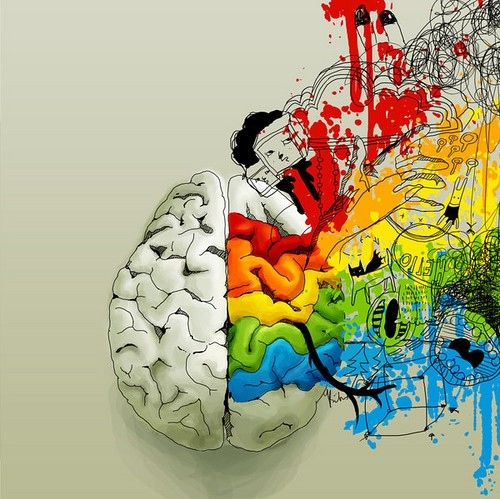 art, brain and brains