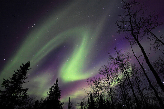 aurora borealis, green and northern lights