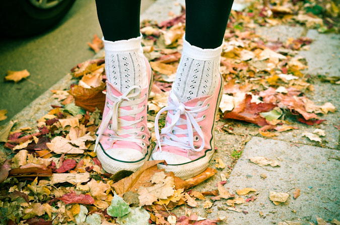 autum, fall and pink