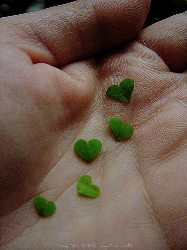 amor de lejos amor de pendejos. amor heart. amor, beauty, colors, green,; amor, beauty, colors, green,. jettredmont. Oct 16, 04:38 PM. He didn#39;t really say that either.