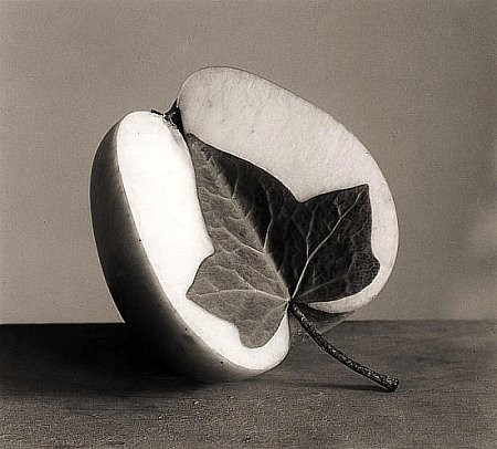 apple-art-art-work-black-and-white-color-creative-Favim.com-39382.jpg