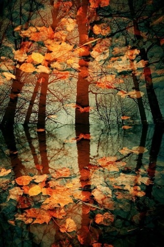 ?????? ??? ??, autumn and beautiful
