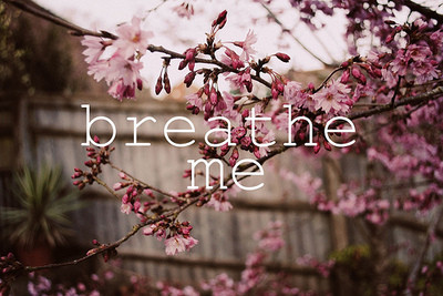 breathe,  flowers and  pink