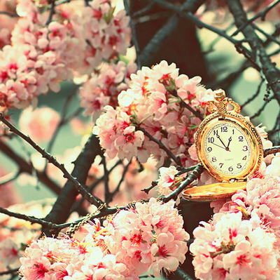 clock, cute and nature
