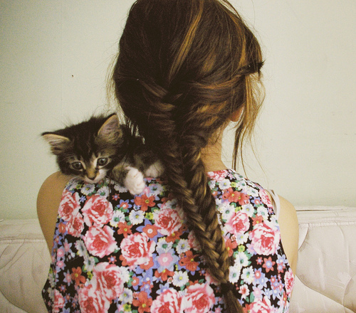 animal, braid, cat, cute, fishtail, floral print