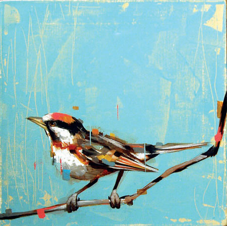 art, bird and bird painting