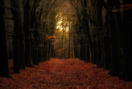 autumn, beautiful and fairy tale