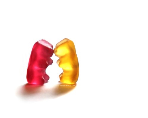 bear-bears-color-cute-fun-funny-Favim.com-40479.jpg
