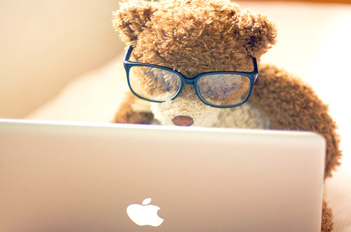 bear, glasses and laptop